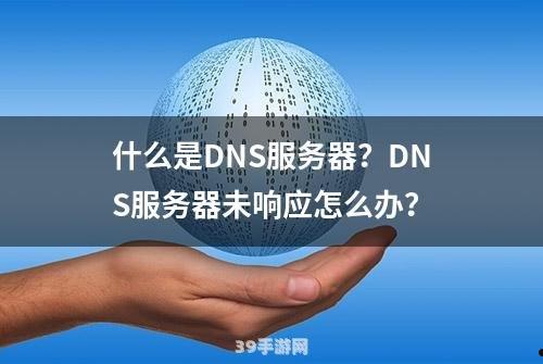 dns服务器未响应:解决游戏中“DNS服务器未响应”问题的终极指南